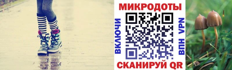 Псилоцибиновые грибы Cubensis  Сорочинск 